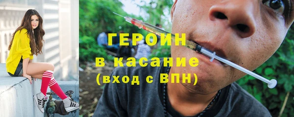 PSILOCYBIN Алзамай